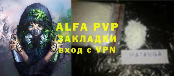 спиды Арсеньев