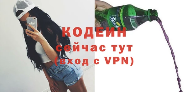 спиды Арсеньев