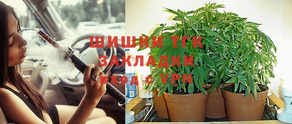 спиды Арсеньев