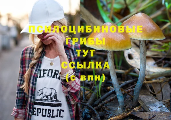 спиды Арсеньев